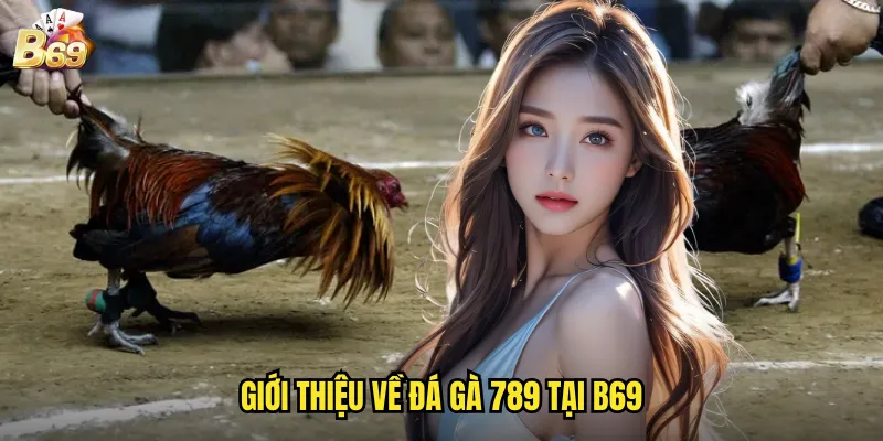 Đá Gà 789 Tại B69 - Trải Nghiệm Cá Cược Thể Thao Độc Đáo 2 Giới Thiệu Về Đá Gà 789 Tại B69