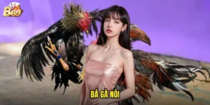 Đá Gà Nòi