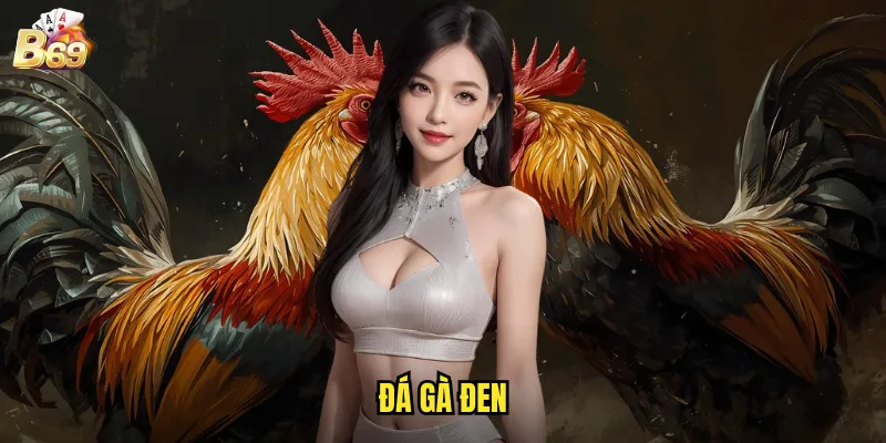 Đá Gà Đen B69 - Trải Nghiệm Sân Chơi Đỉnh Cao Với Tỷ Lệ Thưởng Hấp Dẫn 1 đá gà đen