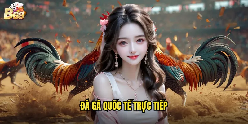 Đá Gà Quốc Tế Trực Tiếp Tại B69 - Kết Nối Với Các Trận Đấu Đẳng Cấp Thế Giới 1 đá gà quốc tế trực tiếp