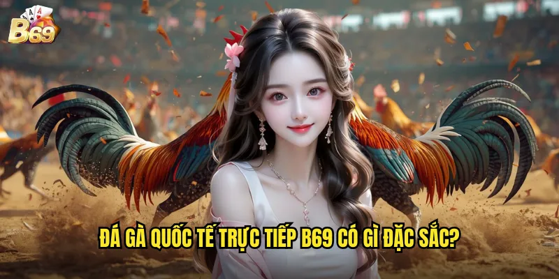Đá Gà Quốc Tế Trực Tiếp Tại B69 - Kết Nối Với Các Trận Đấu Đẳng Cấp Thế Giới 2 Đá gà quốc tế trực tiếp B69 có gì đặc sắc?