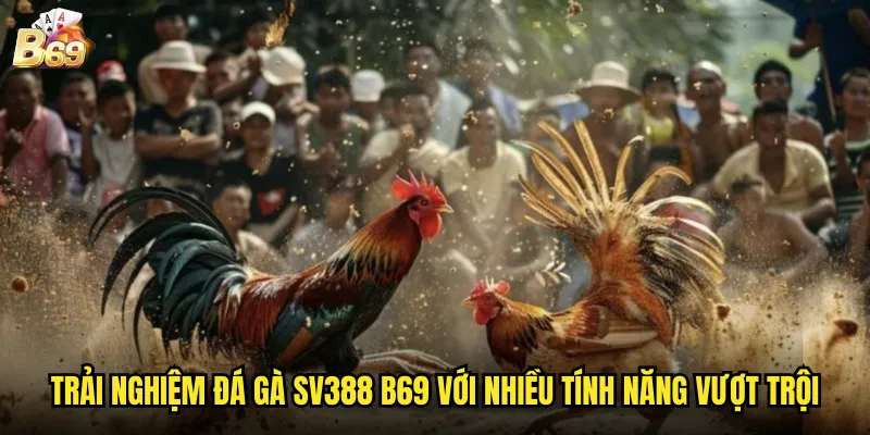 Trải nghiệm đá gà SV388 B69 với nhiều tính năng vượt trội