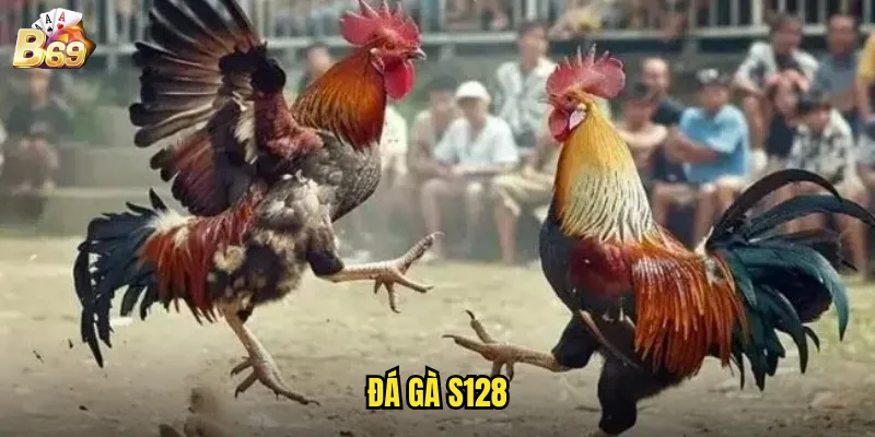 B69 Đá Gà S128 - Trải Nghiệm Đẳng Cấp Với Công Nghệ Tiên Tiến 1 đá gà S128