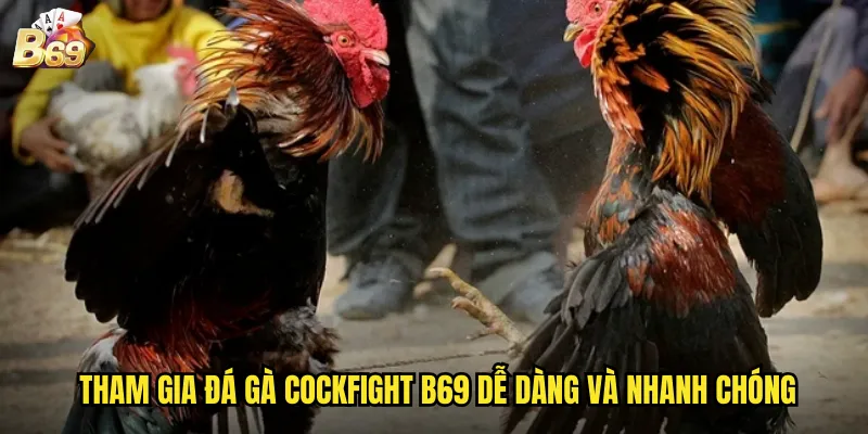 Đá Gà Cockfight B69 - Sân Chơi Quốc Tế Với Trải Nghiệm Chân Thực 3 Tham gia đá gà Cockfight B69 dễ dàng và nhanh chóng